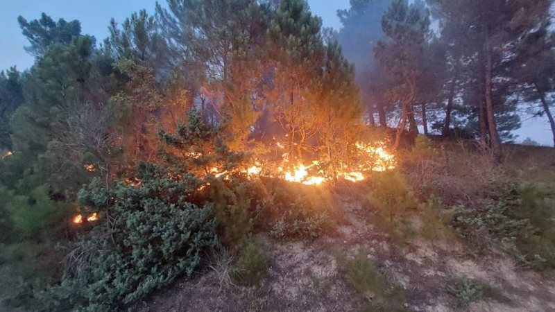 Zjarr i madh në Shkodër, flakët përfshijnë malin e Zefjanës