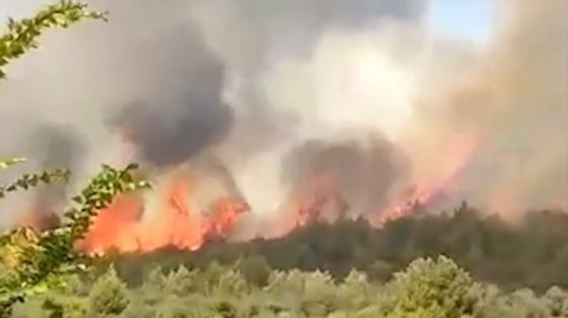“Nami” në Shqipëri, 19 vatra zjarri në 24 orët e fundit