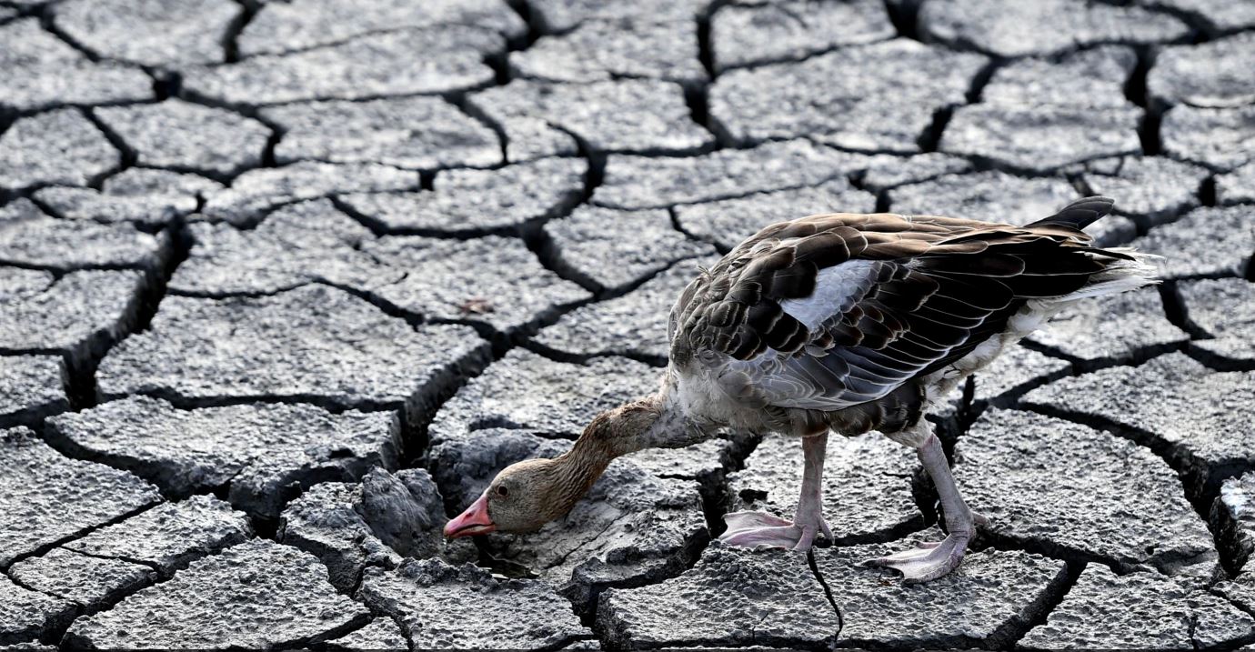 Europa do të përballet me valën më të madhe të thatësirës, ja cilat janë vendet më të goditura