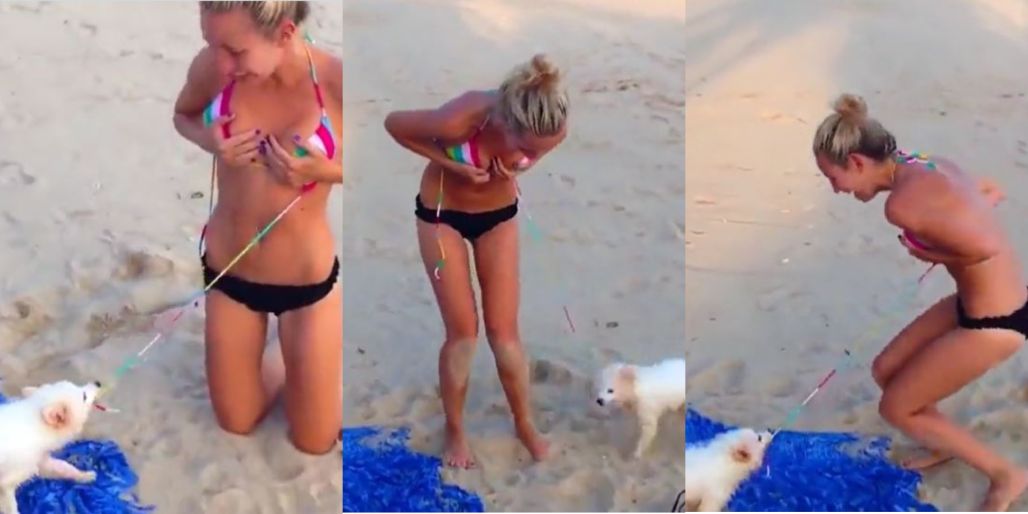 Video gazmore, qeni heq pjesën e sipërme të bikinit të një gruaje