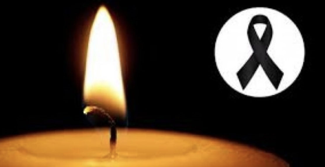 Vdes papritur aktori i famshëm