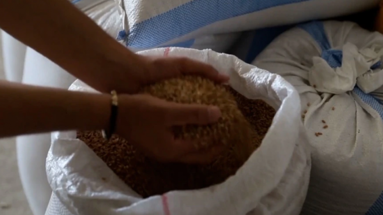 Rritja e çmimeve pas luftës në Ukrainë, dëmton fermerët në Shqipëri