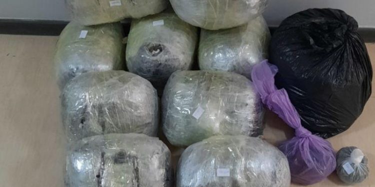 Shqiptari kapet me rreth 12 kg marijuanë në Korfuz, arrestohet nga policia