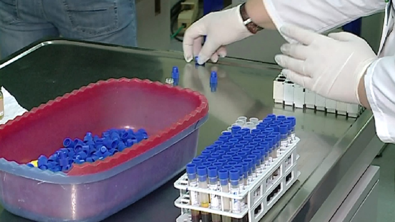 Lija e majmunit: Të huajt dynden në Kanada për vaksinën