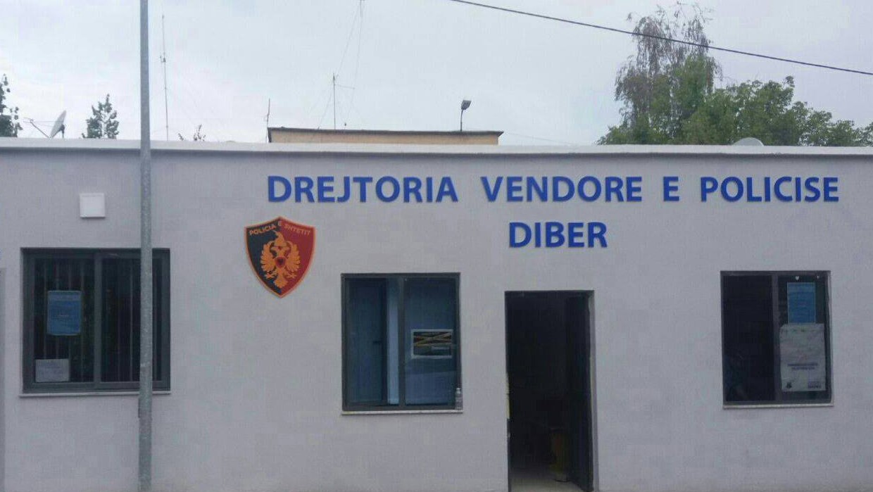 I vodhën me dhunë para dhe sende personale në banesë qytetares, arrestohen 2 vëllezërit