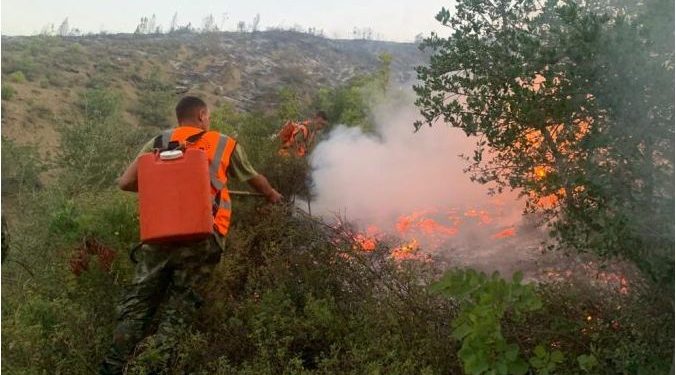 Vatra aktive në Tiranë dhe Durrës, ministria e Mbrojtjes raporton gjendjen e shkaktuar nga zjarret në vend