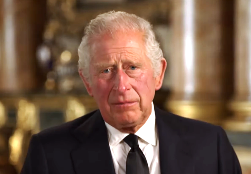 Fjalimi i parë i mbretit Charles: Jam krenar për trashëgimtarin tim William, ndërsa Harry…