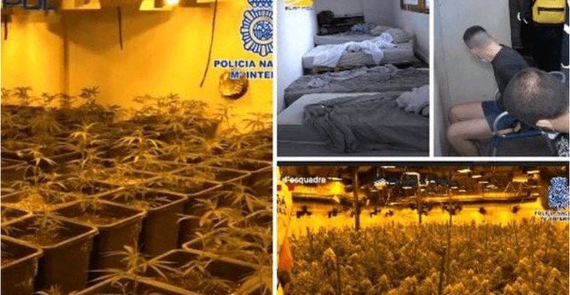 “Shkatërrohet” banda me 13 shqiptarë në Barcelonë, kishin “shtëpi bari” në 4 rajone