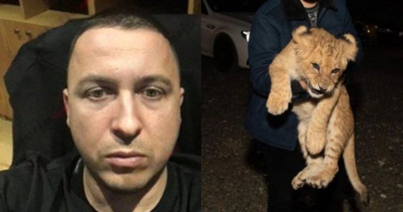 Pse Ervis Martinaj mbante këlysh luani? Kush e ka marrë stafetën pas zhdukjes së “mbretit”