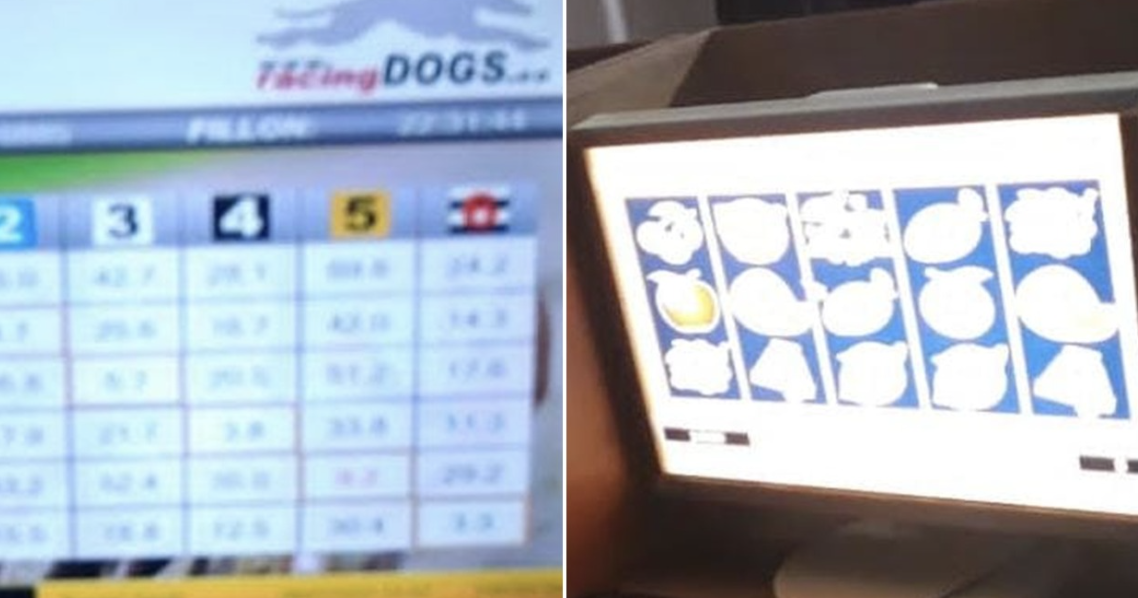 Kishin përshtatur lokalet në “baza” bixhozi, policia “godet” 5 raste: Kush u arrestua