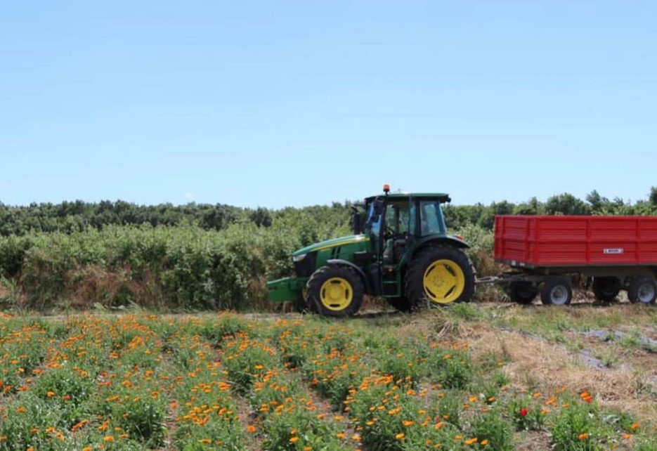 Nafta falas për fermerët/ Rama: Brenda shtatorit do mbështeten edhe 9,000 të tjerë
