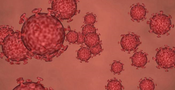 Vdes personi i dytë nga lia e majmunëve në SHBA