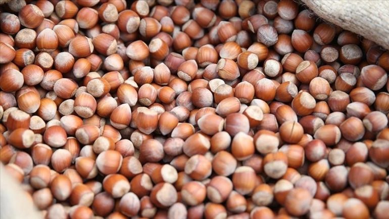 Cili shtet fitoi dy miliardë dollarë vetëm nga shitja e … lajthive?!