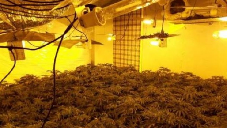 “Shtëpi bari” në Shkodër, shoqërohen në polici 15 persona