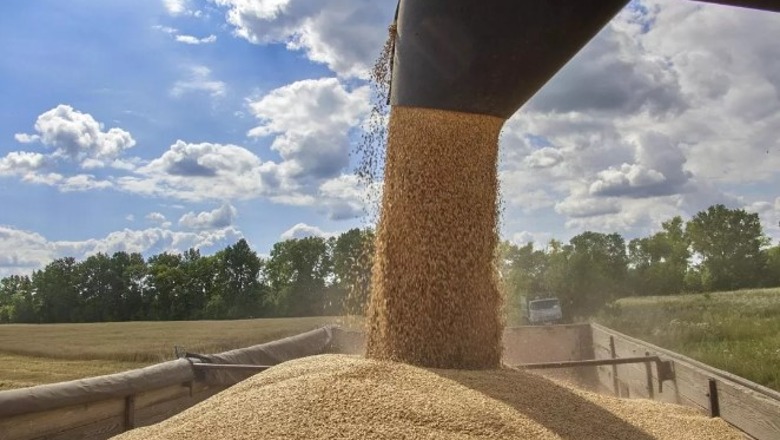 Rusia pezullon marrëveshjen për eksportin e grurit ukrainas nga Moska, reagojnë Biden dhe BE