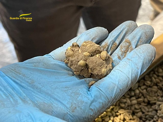 E futën në thasët me kafe që të shpëtonin nga nuhatja e qenit, sekuestrohen 730 kg kokainë në portin e Triestes