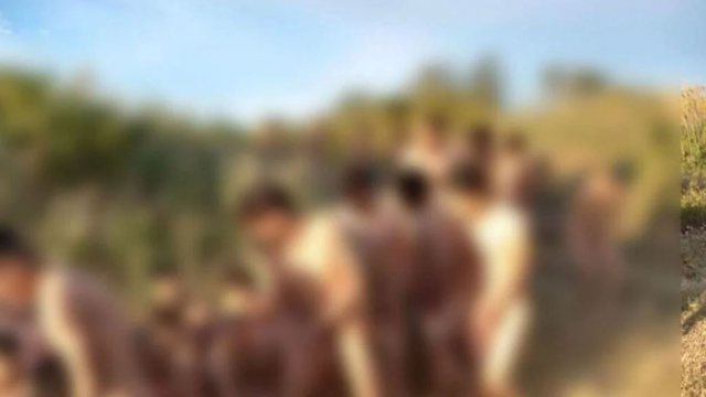 Gjenden në kufirin Turqi-Greqi 92 emigrantë nudo, vendet fajësojnë njëra-tjetrën