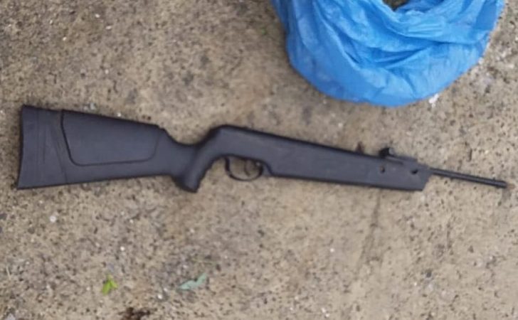 EMRAT/ Kultivonin dhe shisnin lëndë narkotike, arrestohen babë e bir