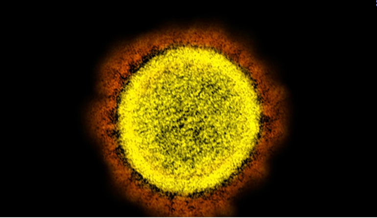 COVID-19/ Dyfishohet prania e varianteve të reja në SHBA, Evropa paralajmëron rritje