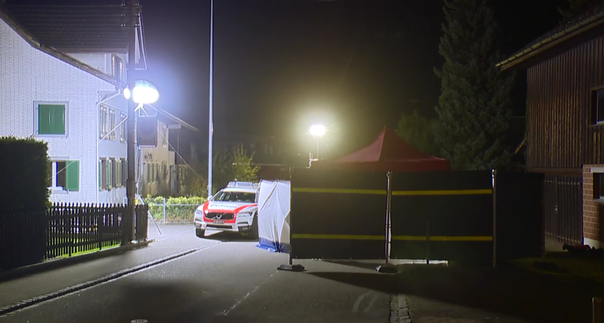 VIDEO/ Një 15-vjeçar i merr jetën 18-vjeçarit pas një sherri me thika, flasin dëshmitarët okularë