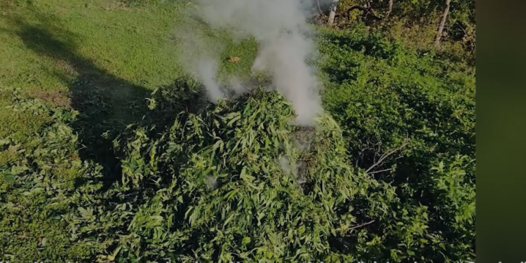 Goditen 3 raste të veprimtarisë kriminale në fushën e narkotikëve, 4 në pranga