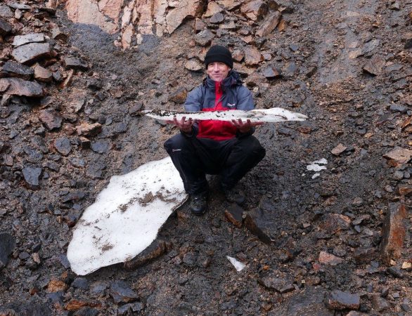 Ndryshimet klimatike/ Skocia plotësisht “pa borë” për herë të katërt në gjashtë vitet e fundit