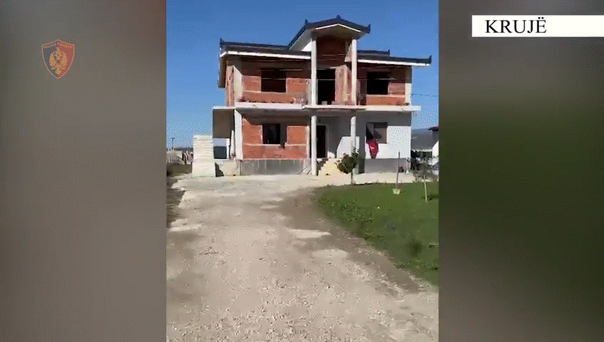 Zbulohet banesa që shërbente për përpunim dhe shitje kanabisi në Krujë, pranga 23-vjeçarit, zbulohet lidhja&#8230;