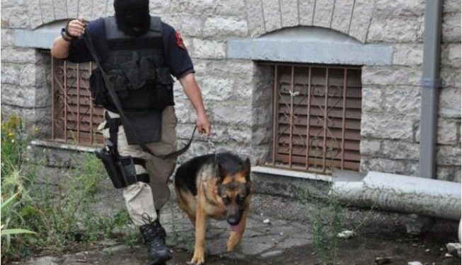 Zbulohet roli i ushtarakut të arrestuar, si vepronte me grupin kriminal në Durrës