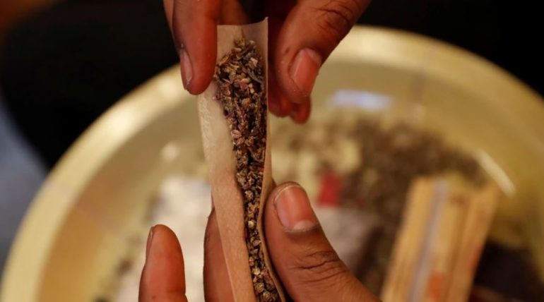 Gjermania drejt legalizimit të kanabisit, ministri i Shëndetësisë: Do shitet në farmaci e dyqane të autorizuara. Personave mbi 18 vjeç…