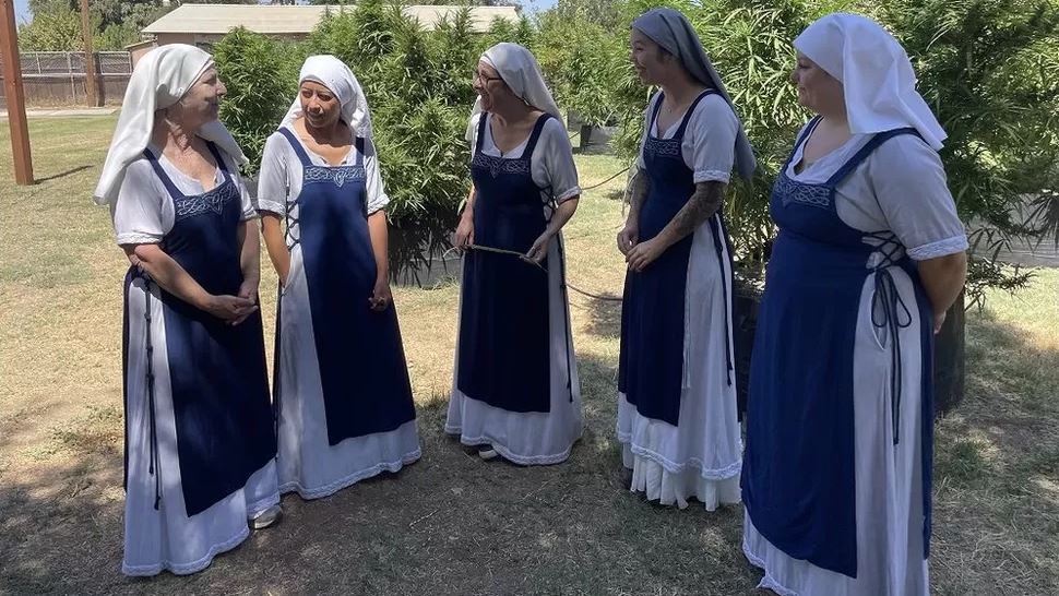 Fitojnë 1.2 milionë dollarë në vit, njihuni me murgeshat që kultivojnë kanabis