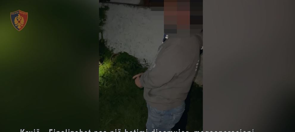 Sekuestrohen 5.3 kg kanabis dhe miliona lekë, 5 të arrestuar në Krujë (VIDEO)