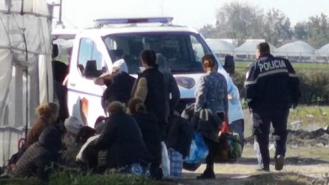 Ferma e kanabisit në Berat/ 57 policë nën hetim, mes tyre edhe drejtues të lartë