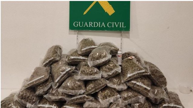 Shqiptari tenton të kalojë 23 kg marijuanë nga Spanja në Francë