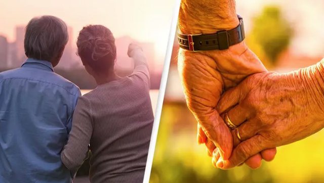 Japonezi vret gruan me aftësi të kufizuara duke e hedhur në det: U lodha duke u kujdesur për të