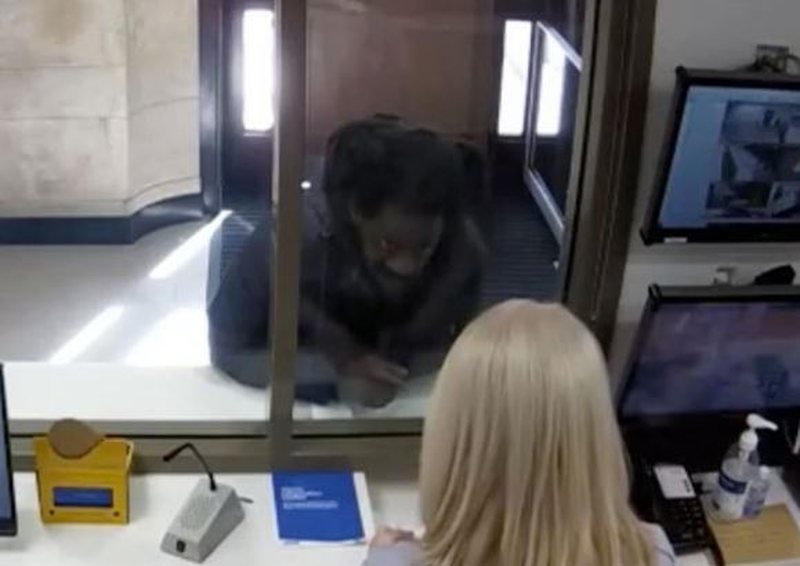 Shkoi në polici dhe rrëfeu krimin që kishte kryer në 1980, 61-vjeçari dënohet me 19 vite burg