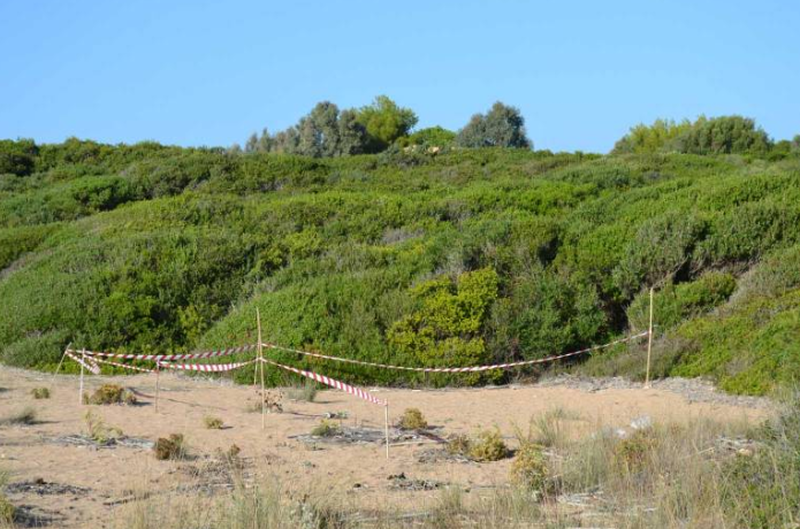 Zbardhen detaje tronditëse nga vrasja e shqiptarit, tre autorët e dhunuan për vdekje dhe… (EMRI)