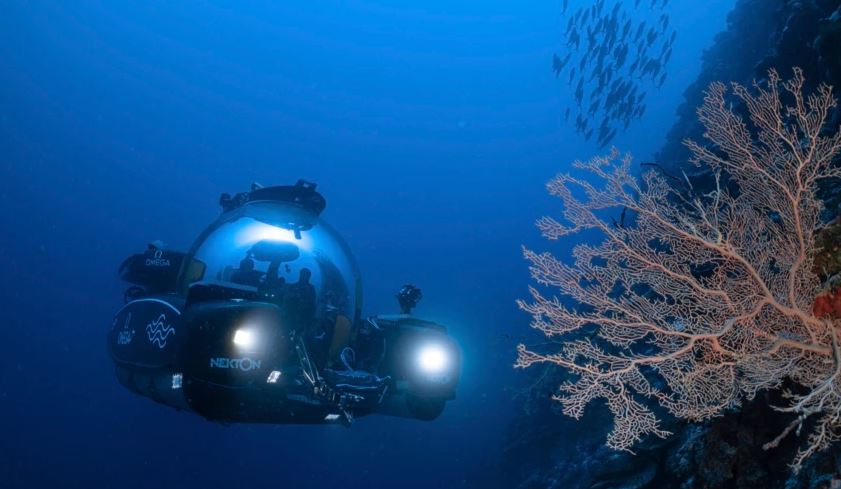 Ngrohja globale rrezikon ekzistencën e ishujve më të famshëm në botë! Ekuipazhi i një anije po eksploron në…