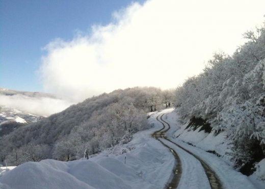 Reshje bore në zonat malore, java nis me temperatura të ulëta, ja si parashikohet të jetë moti