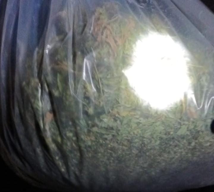 Dhunonte gruan dhe merrej me shitje kanabisi, arrestohet 50-vjeçari nga Kruja