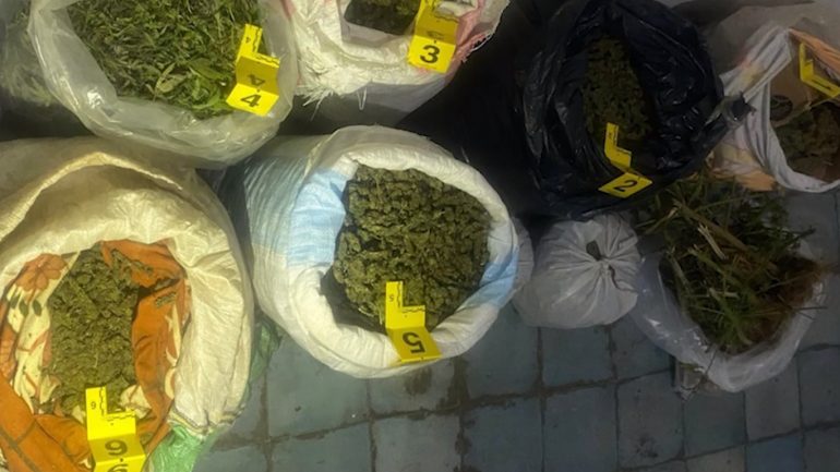 Sekuestrohen 58 kg kanabis, në pranga babë e bir