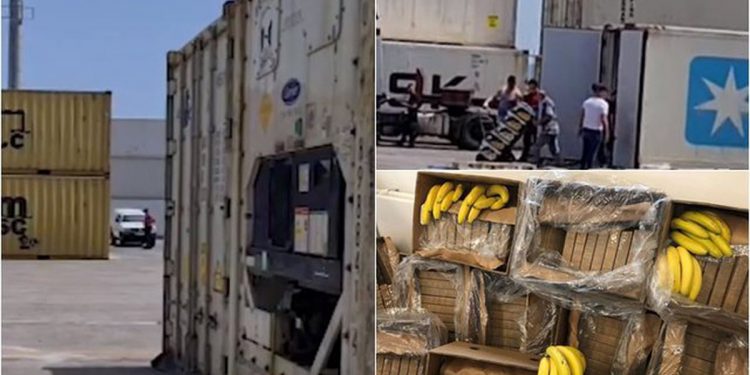 Sekuestrohet drogë në portin e Durrësit, detajet e para