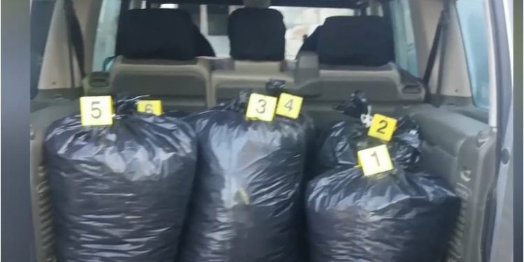 Kapen mbi 33 kg kanabis, në pranga 2 vëllezërit (EMRAT)