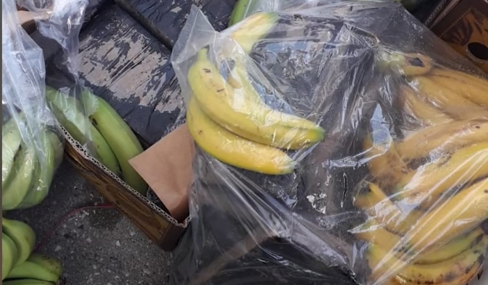 Anija ishte nisur 21 ditë më parë/ Telefonata anonime që zbuloi kokainën në banane, 30 kontejnerë të tjerë në radhë për t’u kontrolluar