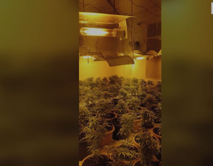 Zbulohet shtëpi bari në Krujë, në kërkim babai dhe dy djemtë, çfarë u sekuestrua (VIDEO)