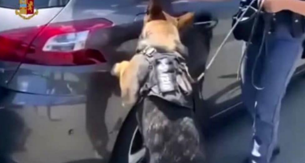 21-vjeçari shqiptar në Itali krijon mekanizmin e veçantë në makinë, fsheh kokainën me vlerë 3.5 milion euro