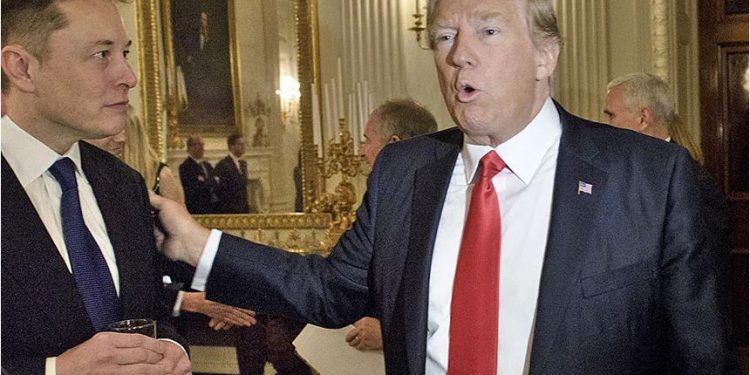 Është zyrtare, Musk rikthen Donald Trump në Twitter