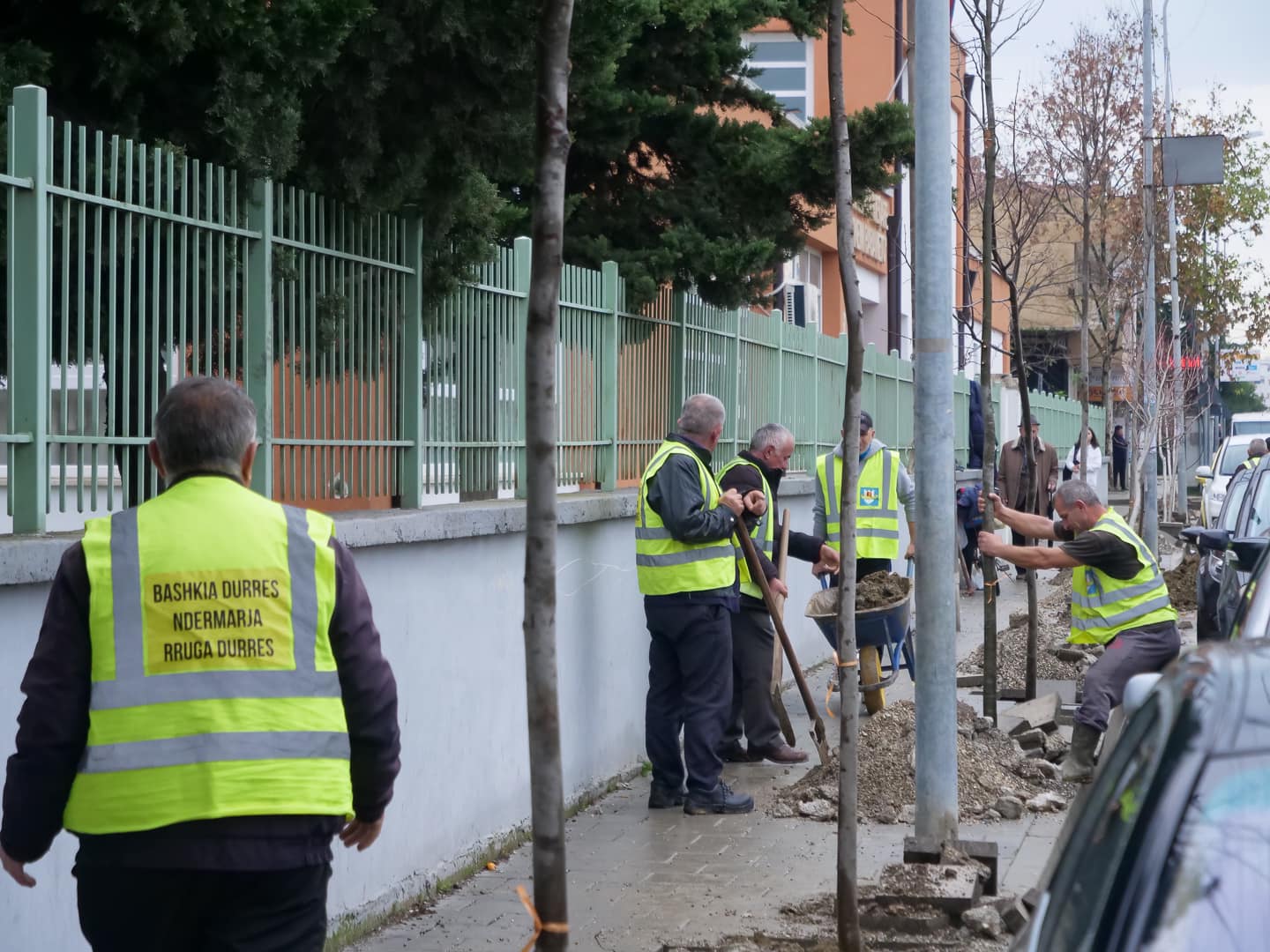 Mbillen pemë &#8220;Bli&#8221; në zonën e Spitallës, Sako: Nisma jonë prioritare një Durrës më i gjelbër