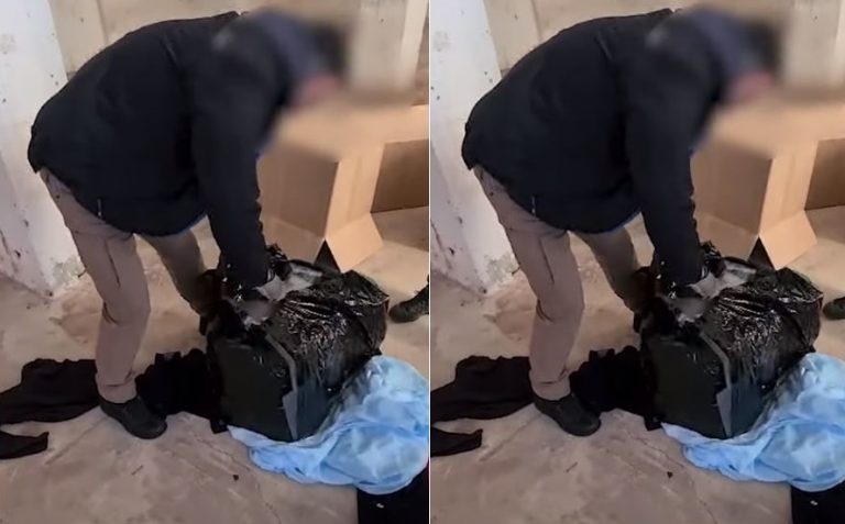 Kapen mbi 116 kg drogë, arrestohet në flagrancë një shqiptar dhe një grek