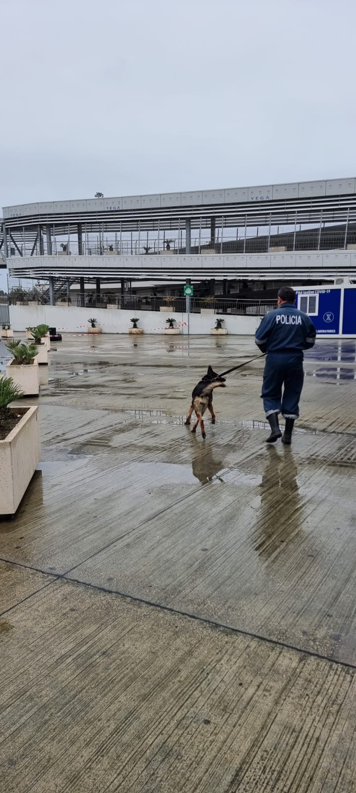 Dy çanta të dyshimta alarmojnë autoritetet në portin e Durrësit