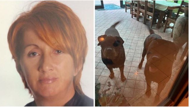 E rëndë në Itali, e moshuara humb jetën pasi sulmohet nga dy qentë e saj